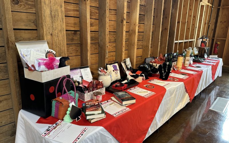 Silent Auction Table