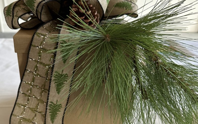 Celebrating Life in Moore County