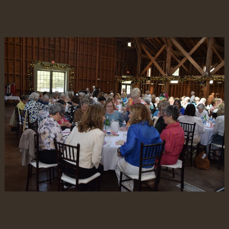 Guests enjoying the show
